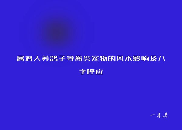 属鸡人养鸽子等禽类宠物的风水影响及八字呼应