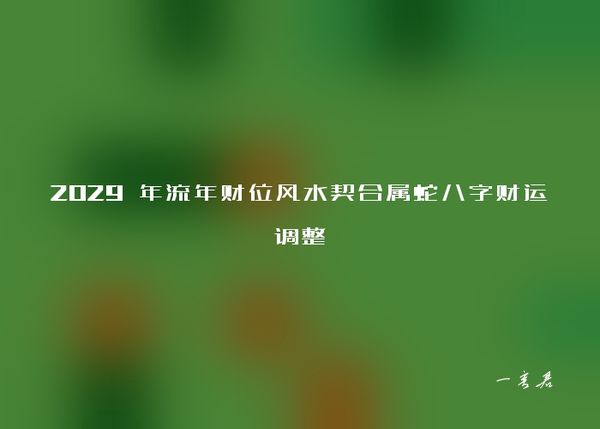 2029 年流年财位风水契合属蛇八字财运调整