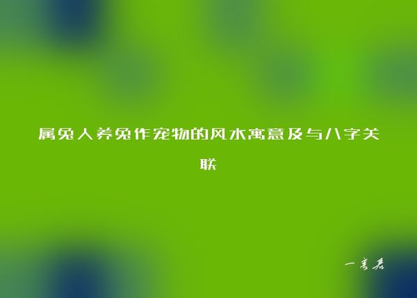 属兔人养兔作宠物的风水寓意及与八字关联