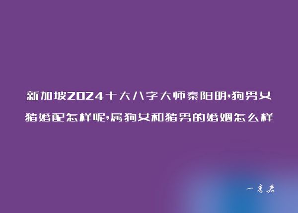 新加坡2024十大八字大师秦阳明,狗男女猪婚配怎样呢,属狗女和猪男的婚姻怎么样