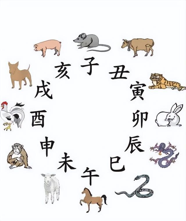 鼠和兔合不合（俗语“癸卯山林兔，压在四季中”与兔年有何关系？谁会犯太岁？）