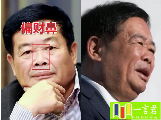 什么样的鼻子财运好图片（难怪“悬胆鼻”被视为鼻中之王，天生就是富贵相，老了更吃香）