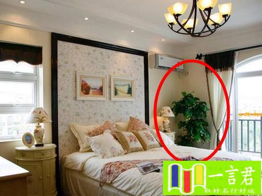 卧室植物风水（卧室床头到底可不可以放绿植吗？清楚这一点，你就明白了！）