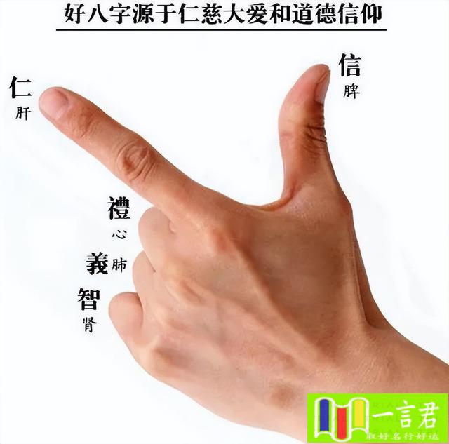 五个手指分别代表谁（中华传统五德修身文化《信》--四季轮转和东西方手势语的五德关系）