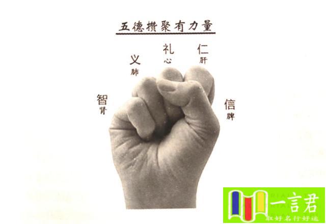 五个手指分别代表谁（中华传统五德修身文化《信》--四季轮转和东西方手势语的五德关系）