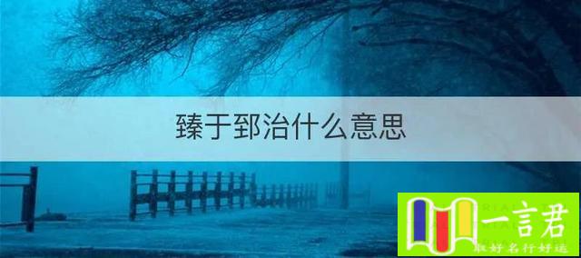 臻配哪个字做公司名（一天一成语_臻于郅治）