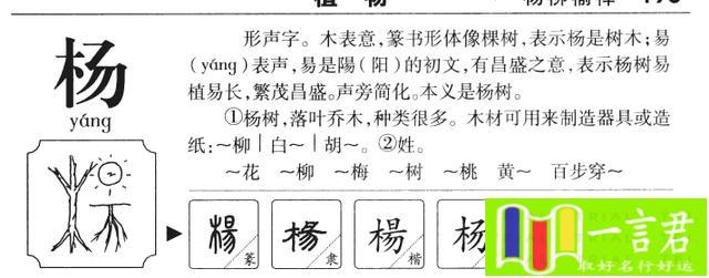 蒋字五行属性及取名寓意（了解蒋字的五行属性和取名的寓意）